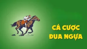Chinh Phục Đường Đua Kịch Tính Cùng Cá Cược Đua Ngựa BMWBet Đỉnh Cao