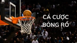 Đắm Chìm Vào Những Cú Dunk Cá Cược Bóng Rổ BMWBet Đỉnh Cao
