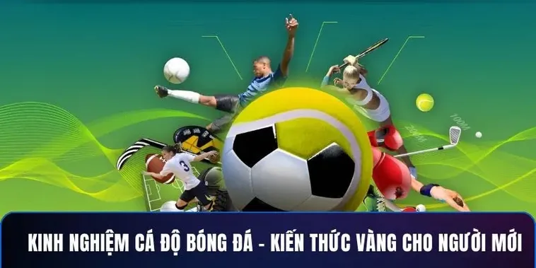 Bùng Nổ Cảm Xúc Sân Cỏ Cá Cược Bóng Đá BMWBet Uy Tín